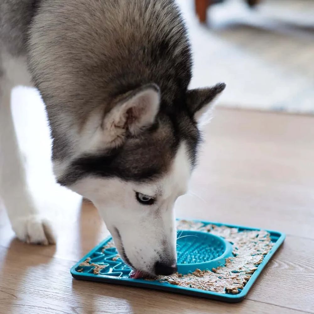 Messy Mutts Framed Silicone Interactive Dog Licking Bowl Mat (Blue)