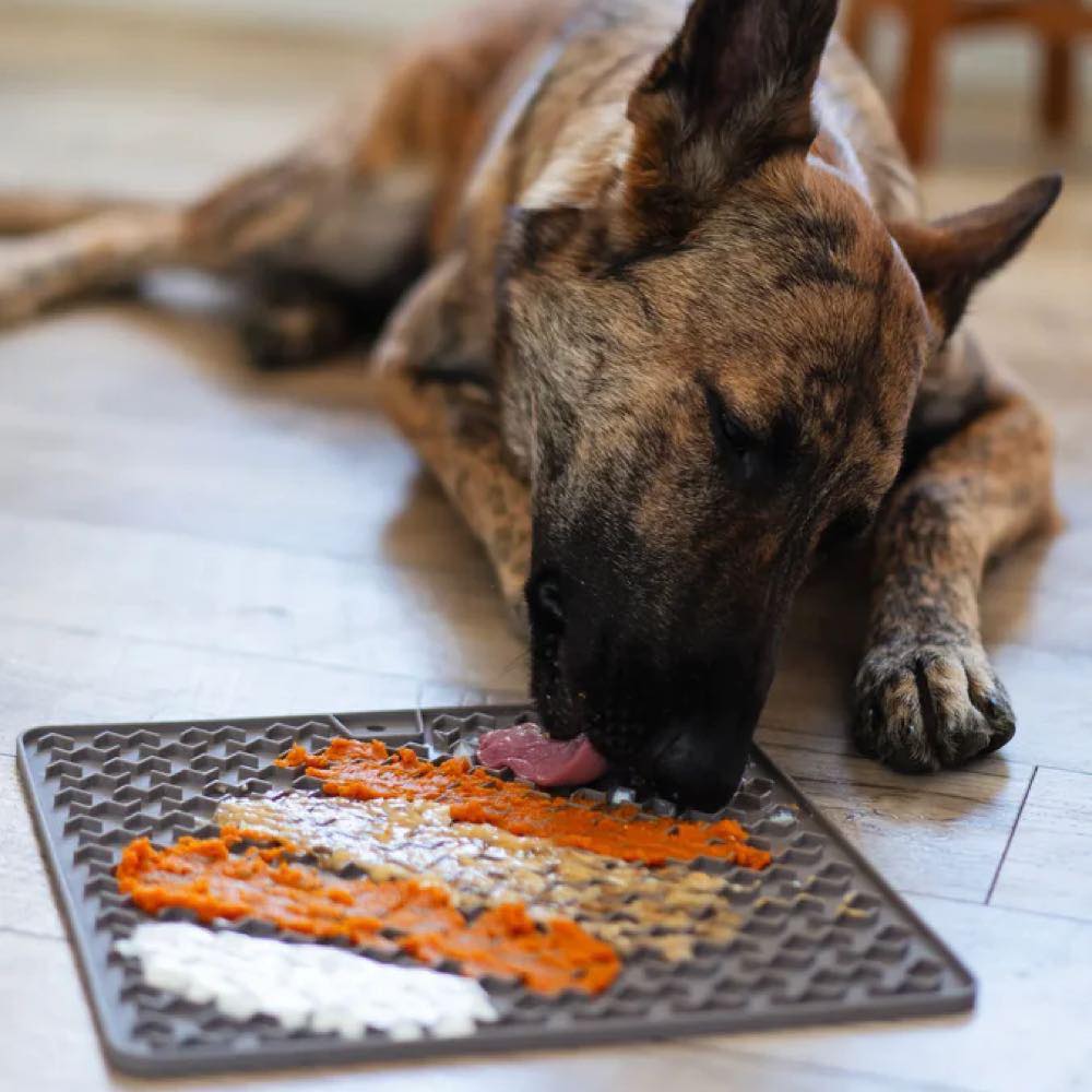 Messy Mutts Silicone Therapeutic Dog Licking Mat (Grey)