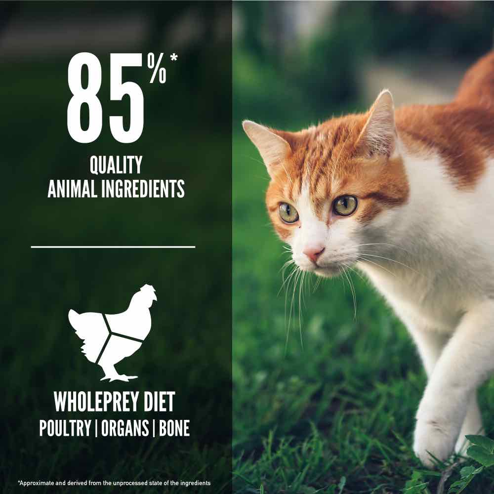 ORIJEN Freeze-Dried Infused Fit & Trim Adult Grain-Free Dry Cat Food