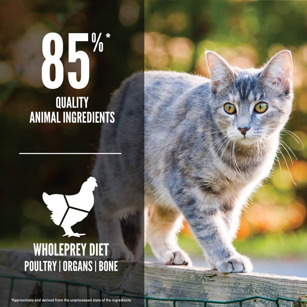 ORIJEN Freeze-Dried Infused Original Adult Grain-Free Dry Cat Food