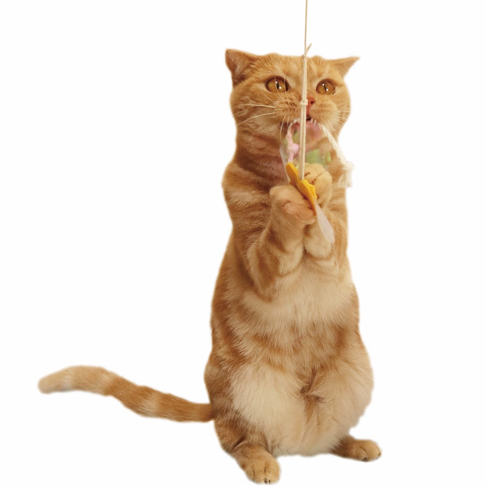 Petz Route Rustling With Paper String Cat Wand Toy (Bird)