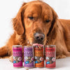 Polkadog Wonder Nuggets Pork & Apple Dog Treats 2.5oz (Mini Tube)