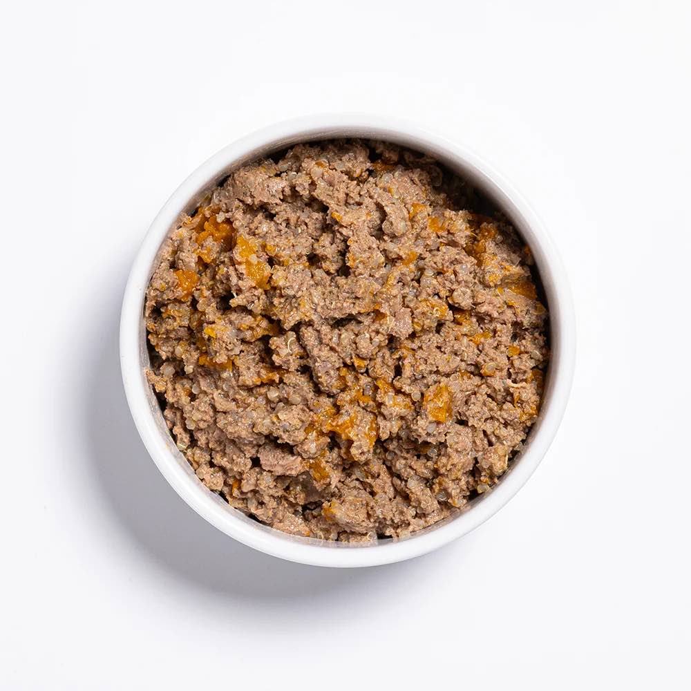 Prime100 SPD Slow Cooked Wild Boar & Pumpkin Wet Dog Food 345g