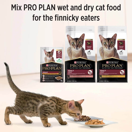 Pro Plan Tender Chicken In Gravy Adult Pouch Cat Food 85g x 12