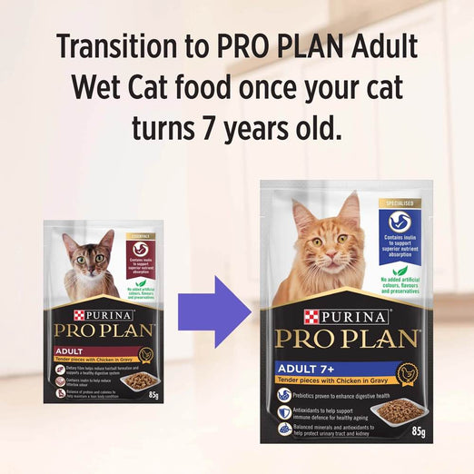 Pro Plan Tender Chicken In Gravy Adult Pouch Cat Food 85g x 12