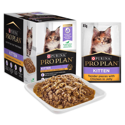 Pro Plan Tender Chicken In Jelly Kitten Pouch Cat Food 85g x 12