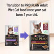 Pro Plan Tender Salmon In Gravy Kitten Pouch Cat Food 85g x 12