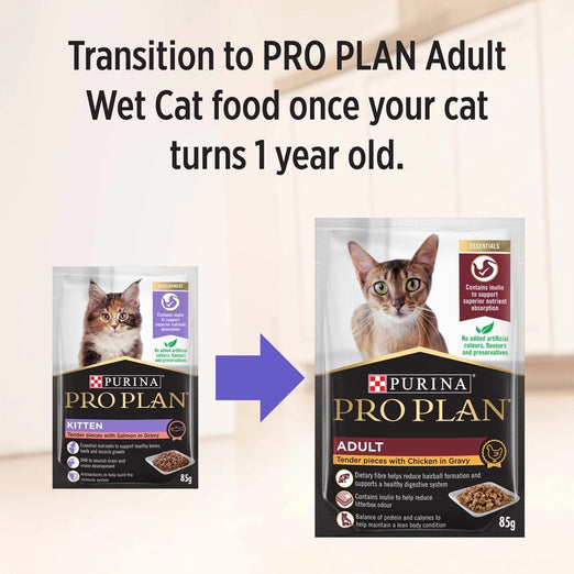 Pro Plan Tender Salmon In Gravy Kitten Pouch Cat Food 85g x 12