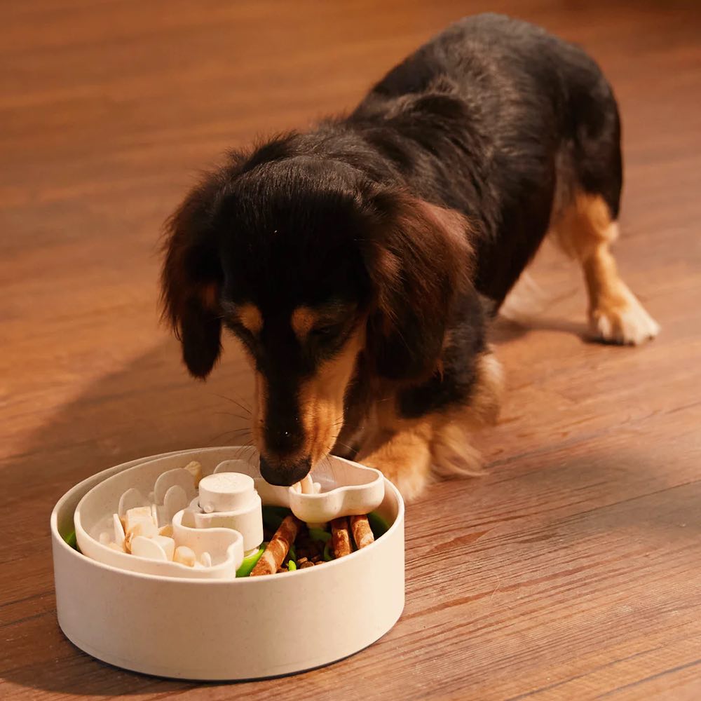 KOHE-VERSARY 8% OFF: Puzzle Feeder Lite Interactive Dog Bowl (Green)