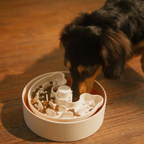 Puzzle Feeder Dog Bowls — Specially Designed To Slow Down Your Dog’s Meal Times By Up To 15 Times!