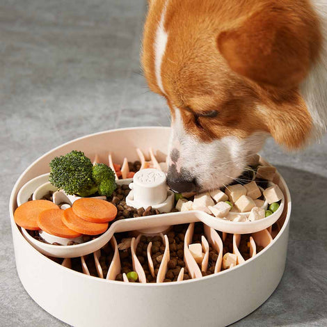 Puzzle Feeder Dog Bowls & Accessories — Slow Feeders For Dogs That Are Fun, Interactive & Highly Effective!