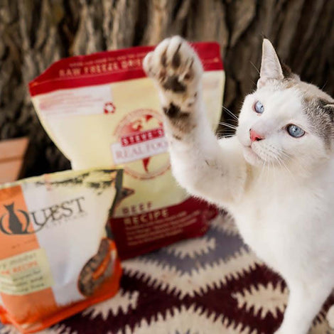 Quest Freeze-Dried Cat Food Singapore — Made With 95% Fresh Meat, Organs & Bone And 5% Superfoods!