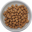 Quest Prey Model Beef Recipe Grain-Free Freeze-Dried Raw Cat Food 10oz