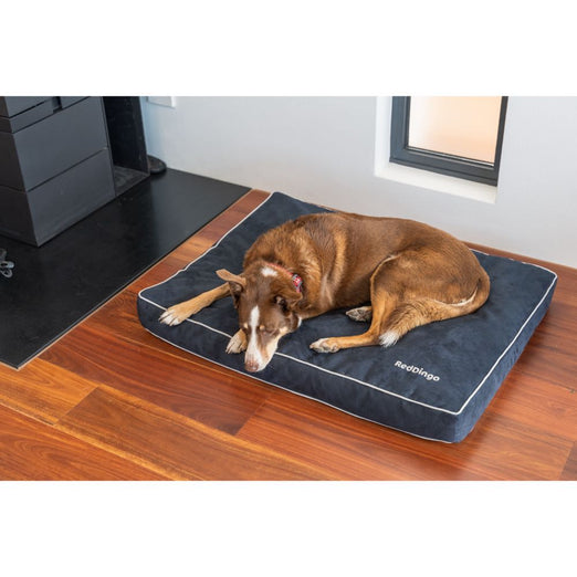 Red Dingo Premium Mattress Dog Bed (Marine)