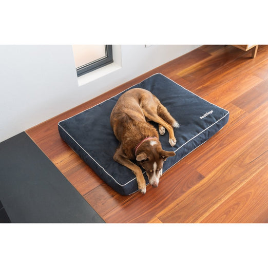 Red Dingo Premium Mattress Dog Bed (Marine)