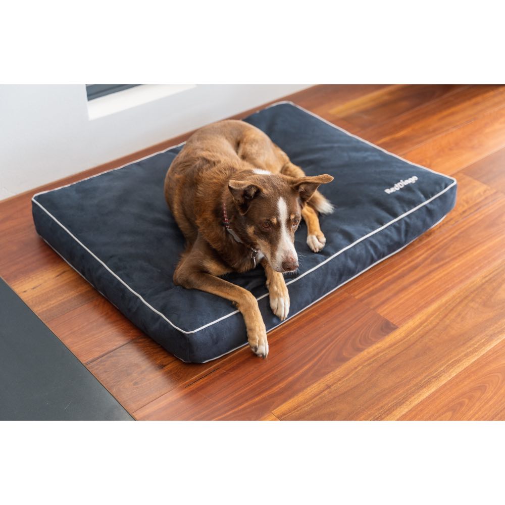 Red Dingo Premium Mattress Dog Bed (Chocolate)