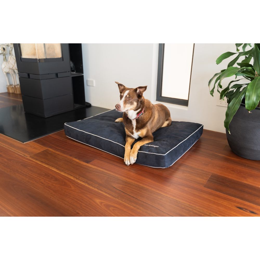 Red Dingo Premium Mattress Dog Bed (Chocolate)