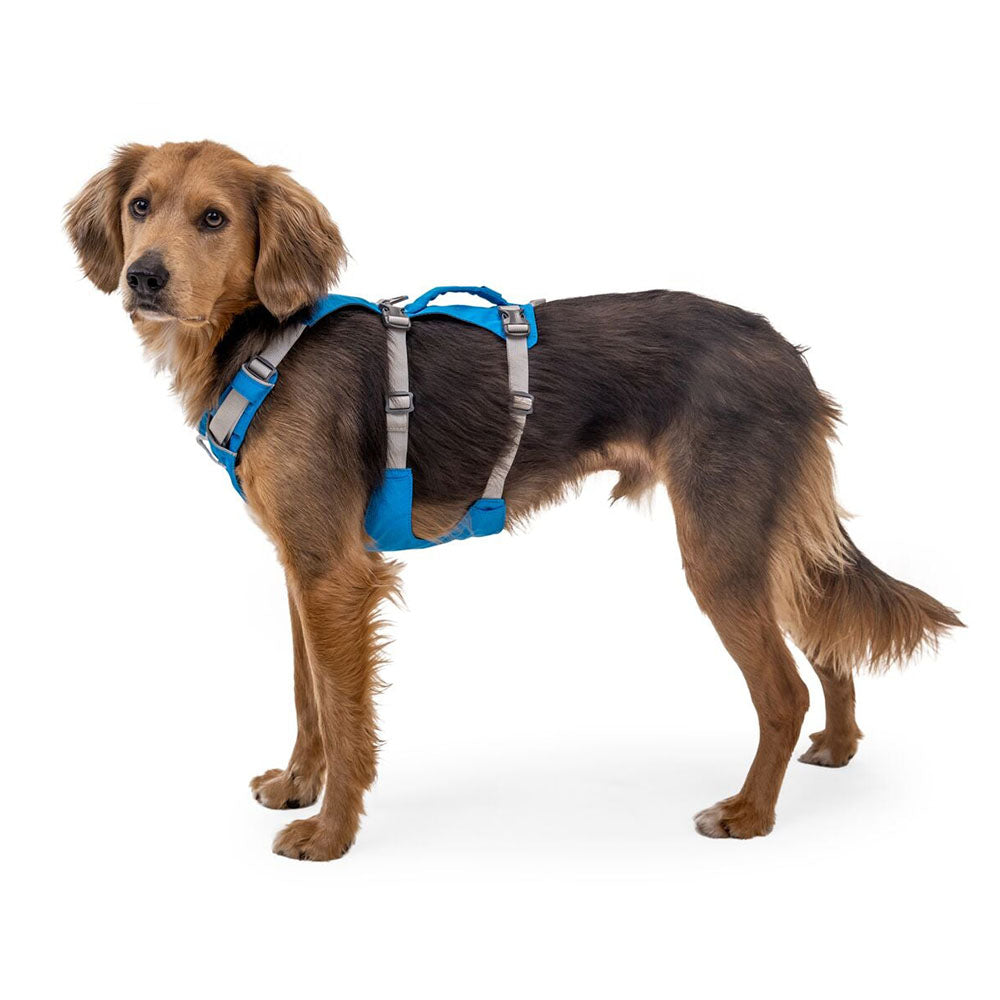 Ruffwear Flagline Lightweight No Pull Handled Dog Harness Blue