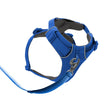 Ruffwear Front Range No-Pull Everyday Dog Harness (Blue Pool)