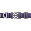 Ruffwear Front Range Ombré Dog Collar (Purple Sage)