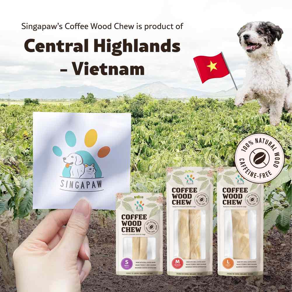 Singapaw Coffee Wood Natural Dog Chews