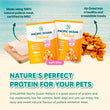 Singapaw Pacific Ocean Pollock With Sea Cucumber Flower Soft Bite Air-Dried Treats For Cats & Dogs 70g