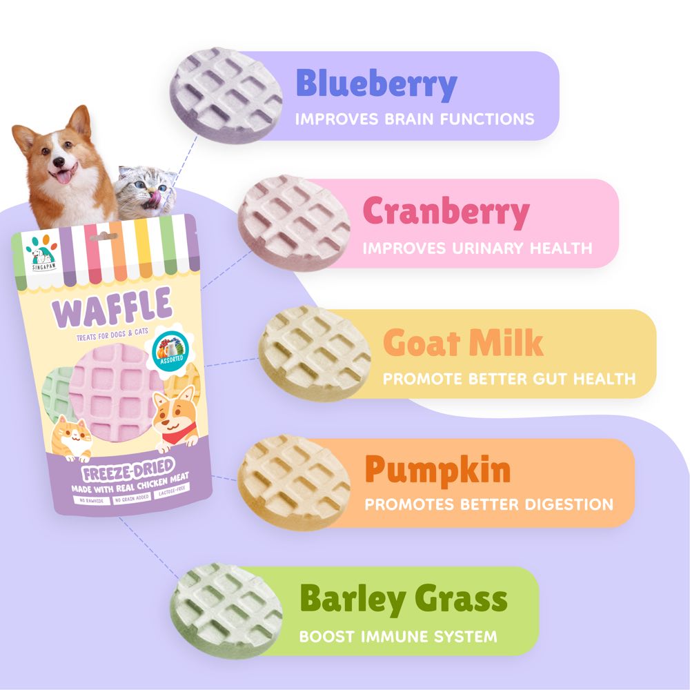 15% OFF: Singapaw Waffle Assorted Flavors Grain-Free Freeze-Dried Treats For Cats & Dogs 120g