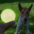 SkipDawg Neon Glow Ball Dog Toy