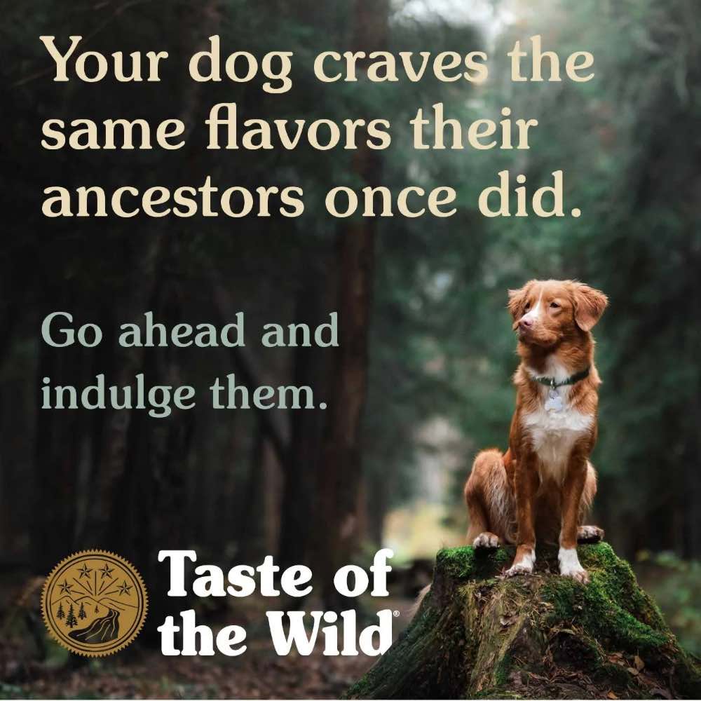 'BUNDLE DEAL/FREE TREAT': Taste of the Wild Pine Forest with Venison Grain-Free Dry Dog Food