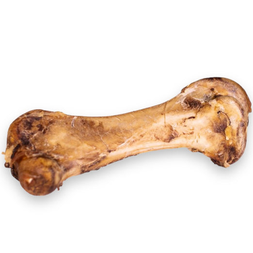 The Source-Sage Club Ostrich Bone Grain-Free Dog Chew 1pc