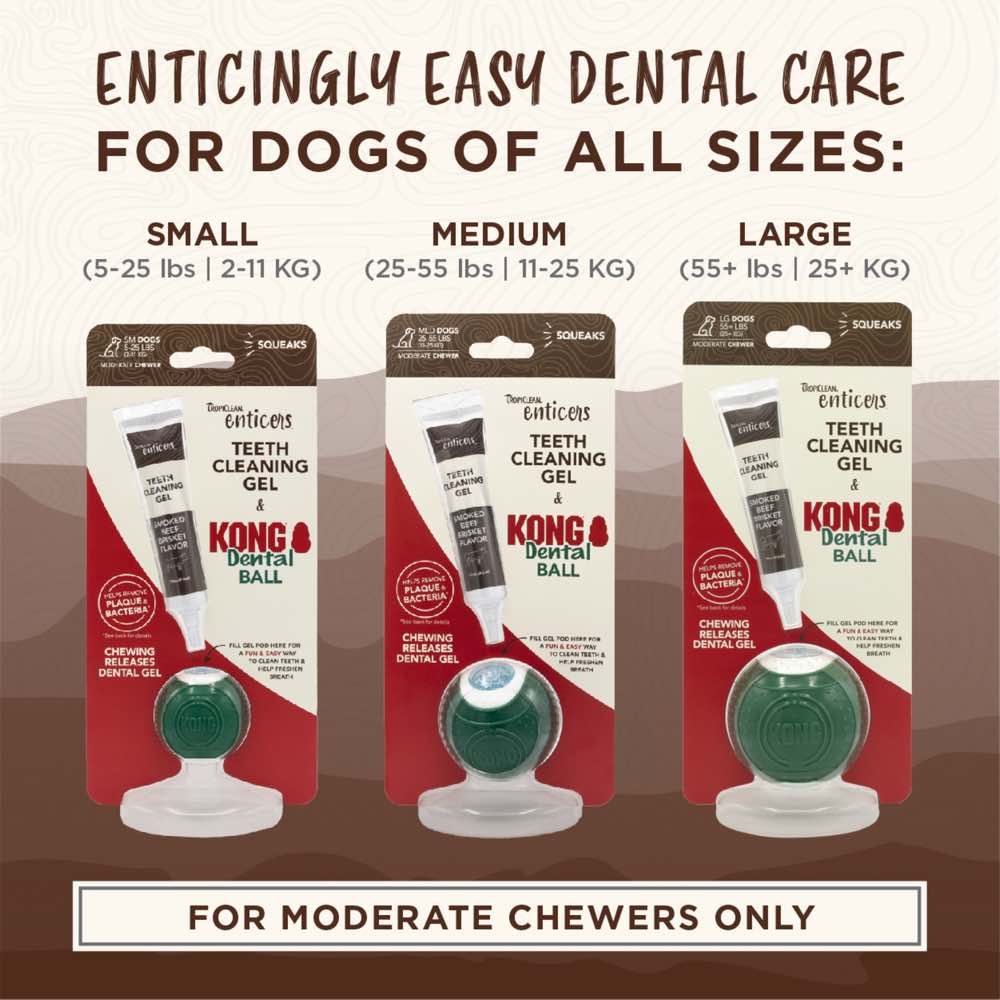 TropiClean Enticers Teeth Cleaning Gel Kong Dental Ball Dog Toy Small Kohepets