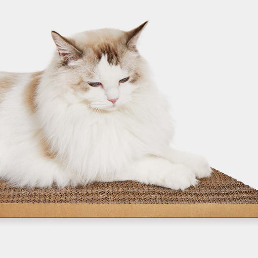 VETRESKA Cheese Cat Scratching Box