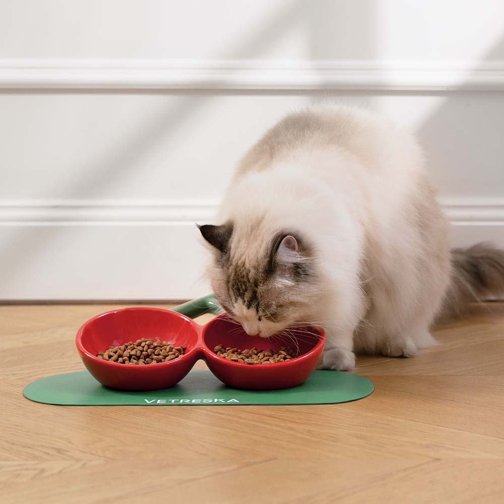 VETRESKA Cherry Ceramic Bowl For Cats & Dogs