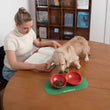 VETRESKA Cherry Ceramic Bowl For Cats & Dogs