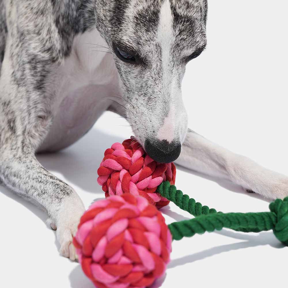 VETRESKA Cherry Knot Rope Dog Toy