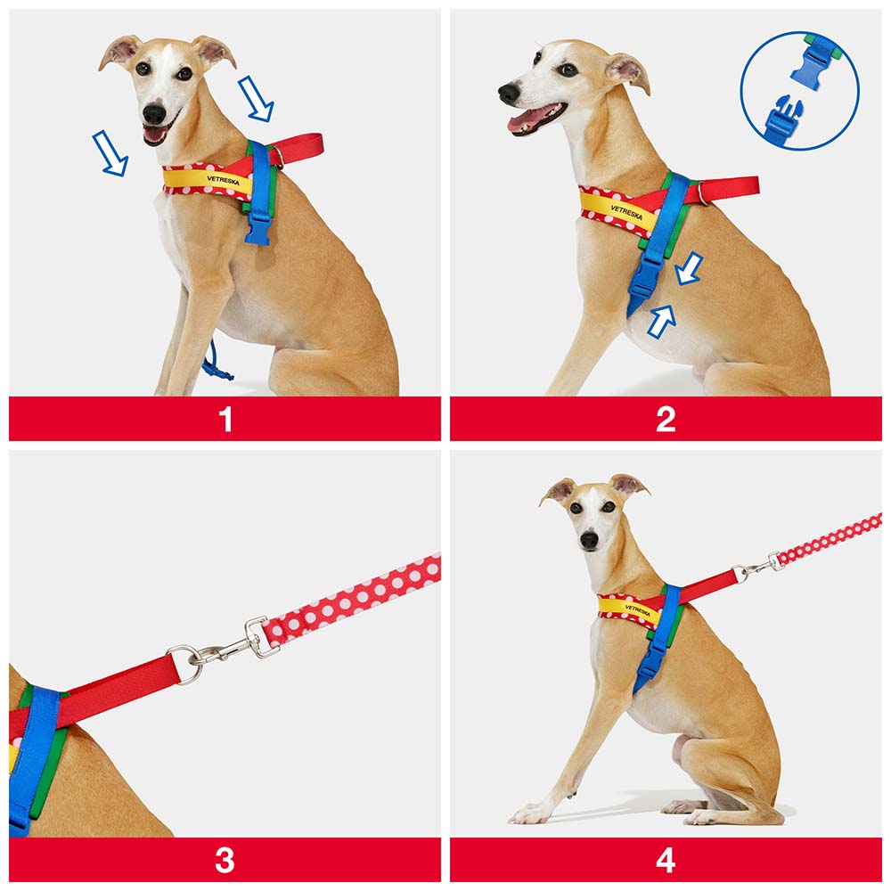 Dog harness collar hot sale and leash set