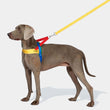 VETRESKA Chroma Dog Harness & Leash Set (Yellow)