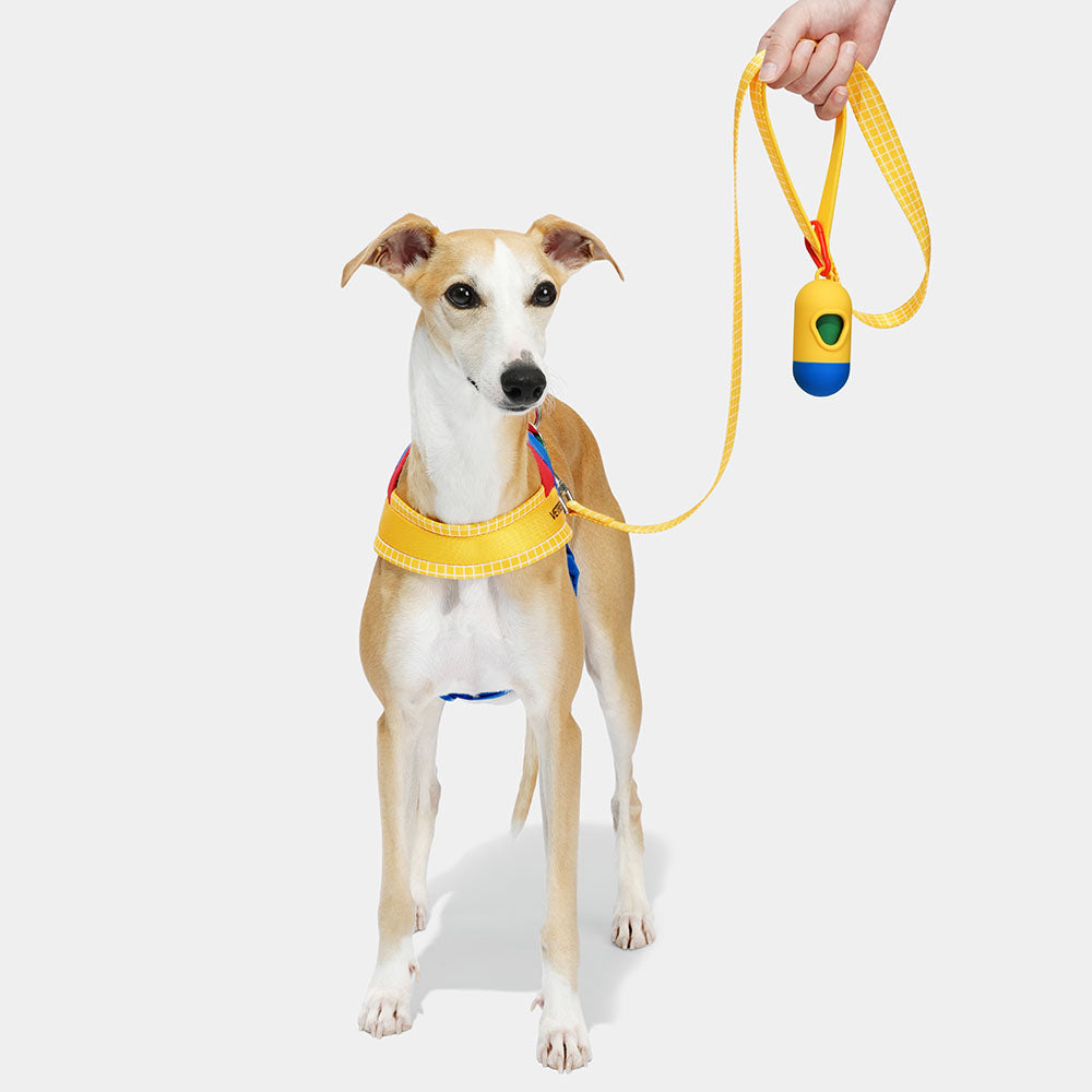 VETRESKA Chroma Dog Harness & Leash Set (Yellow)