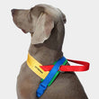 VETRESKA Chroma Dog Harness & Leash Set (Yellow)