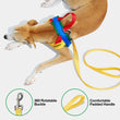 VETRESKA Chroma Dog Harness & Leash Set (Yellow)