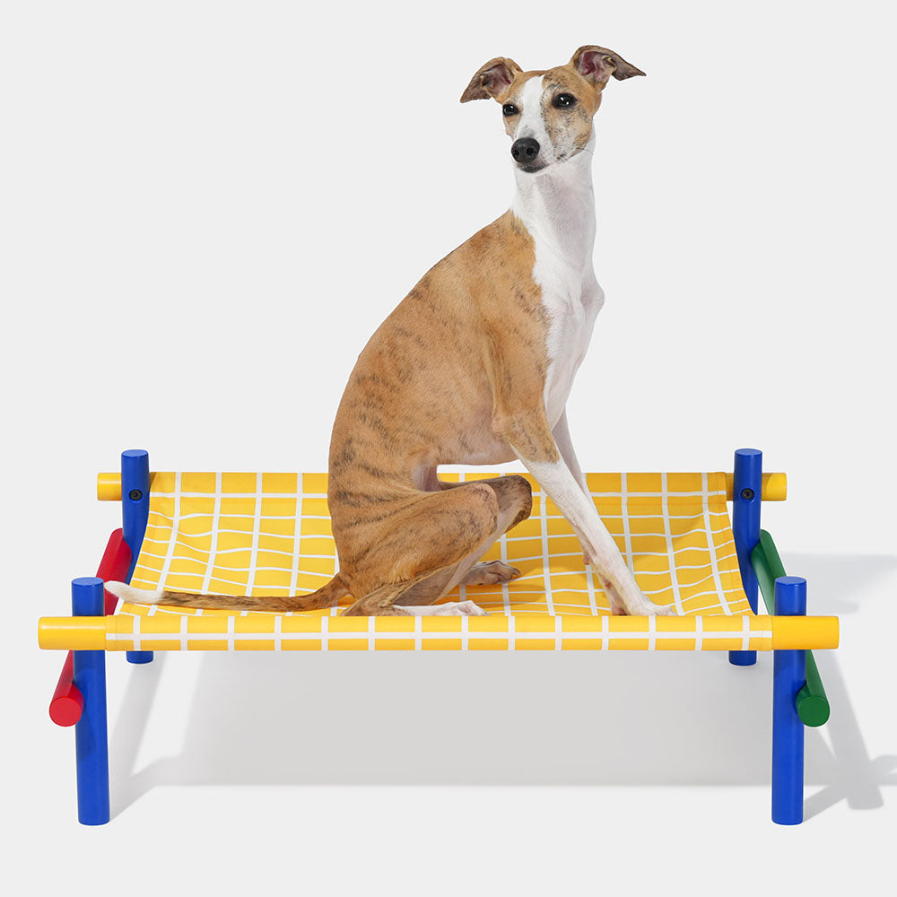 VETRESKA Chroma Elevated Bed For Cats & Dogs (Yellow)