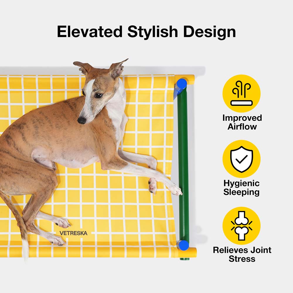 VETRESKA Chroma Elevated Bed For Cats & Dogs (Yellow)