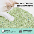 VETRESKA Deodorant Tofu Green Tea Clumping Cat Litter 2.5kg