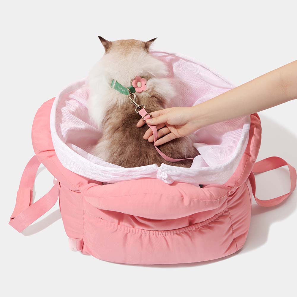 Pet carrier clearance for car seat