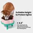 VETRESKA Flora Ceramic Elevated Bowl For Cats & Dogs