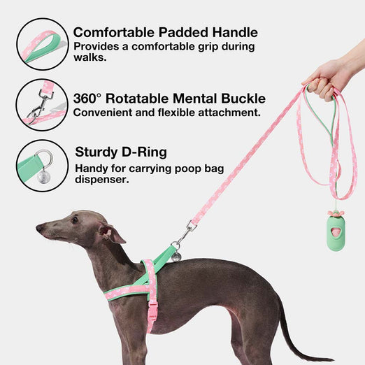 VETRESKA Flora Dog Harness & Leash Set