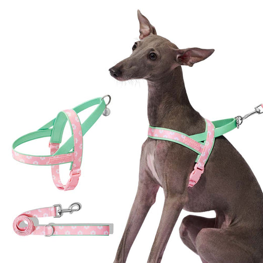 VETRESKA Flora Dog Harness & Leash Set