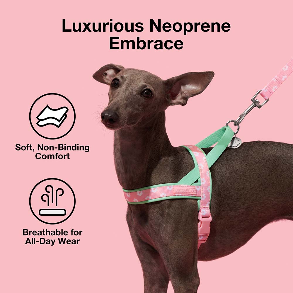 VETRESKA Flora Dog Harness & Leash Set