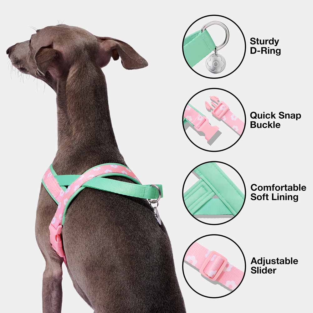 VETRESKA Flora Dog Harness & Leash Set