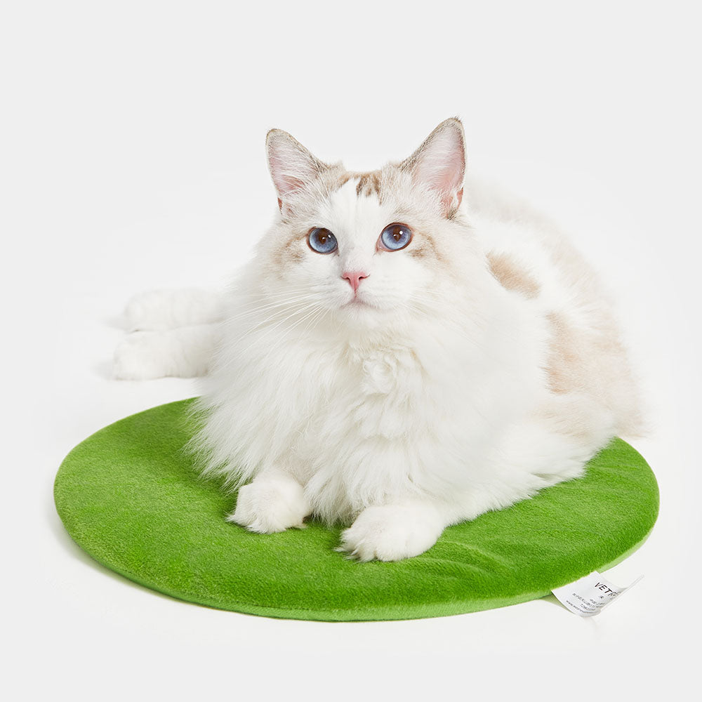 VETRESKA Oasis Cactus Bed For Cats & Dogs